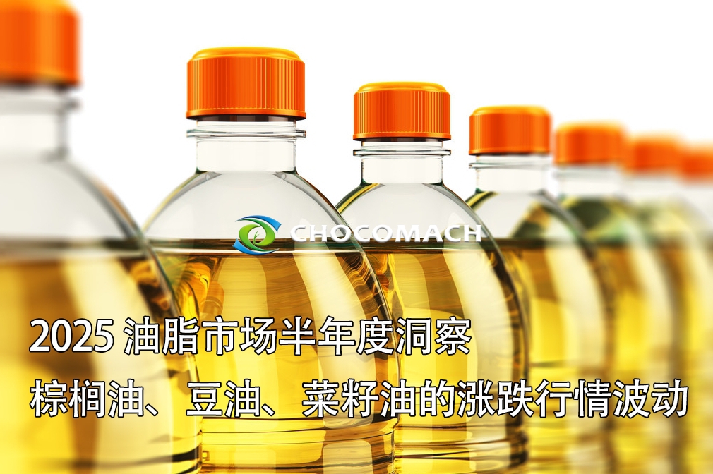 2025 油脂市場半年度洞察 | 全球油籽漲跌行情波動