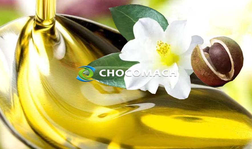 油茶油 VS 山茶油的營(yíng)養(yǎng)與選購(gòu)指南